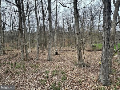 0 Timberlake Estates - Lot 24 unit WVMI2003320, New Creek, WV 26743 - photo 4