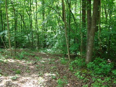 141 Jeremiah Rd, Cookeville, TN 38506 - photo 5