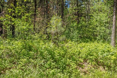 Gentle, Sloped Usable Lot