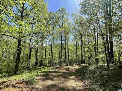 533 Simms Rd, Stanardsville, VA 22973 - photo 2