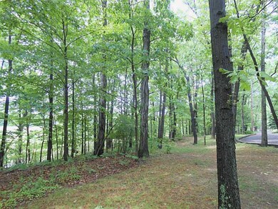 Land/Lot.