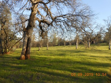 DSCN5030
