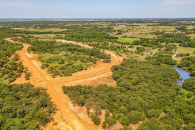 1028 Bluebonnet Ridge, Weatherford, TX 76087 - photo 6