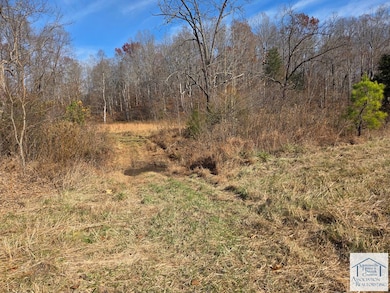 00 Mount Vernon Rd, Axton, VA 24054 - photo 6