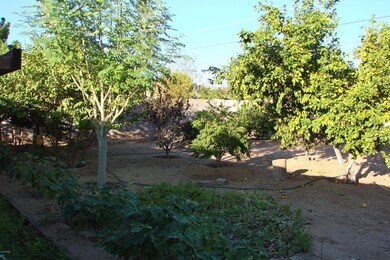 Serene Back Yard!