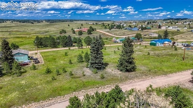 1129 Will Scarlet Dr, Divide, CO 80814 - photo 2