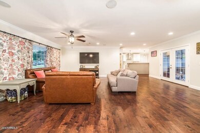 The Living Area
