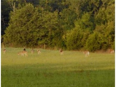 Tract A Blackoak Rd, Fayetteville, AR 72701 - photo 3