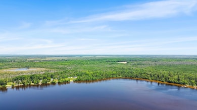 15488 Paradise Lake Rd, Carp Lake, MI 49718 - photo 6