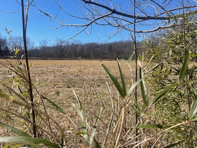 1 Old Clarksville Pike, Chapmansboro, TN 37035 - photo 7