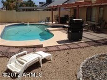 backyard 2