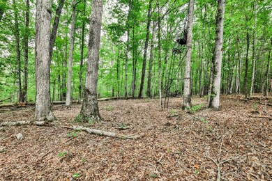 0 Old Zebulon Rd unit 25091896, Forsyth, GA 31029 - photo 3