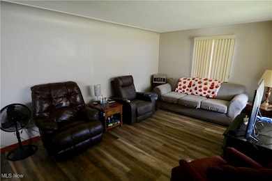 525 W Omar St, Struthers, OH 44471 - photo 5