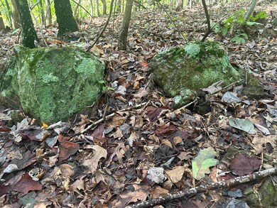 000 Hwy 65 N, Clinton, AR 72031 - photo 5