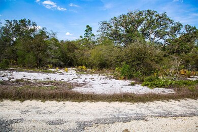 239 Crystal Lake Dr, Lake Placid, FL 33852 - photo 4