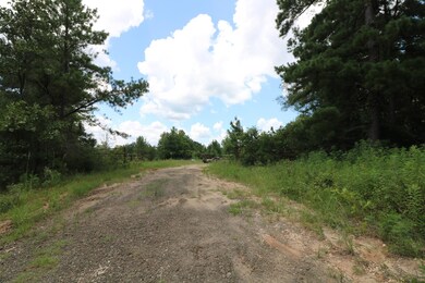 AB985 TR85 County Road 1028, Newton, TX 75966 - photo 6