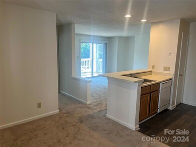 11 Hamiltons Bay Ct unit 845, Clover, SC 29710 - photo 2