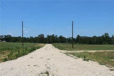 Lot 16 Zack Magee Rd, Franklinton, LA 70438 - photo 5