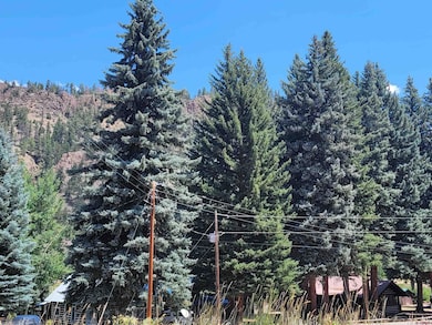 271 Master's Place, South Fork, CO 81154 - photo 4