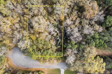 6-web-or-mls-3434 Kit Freeman Ln Coastal