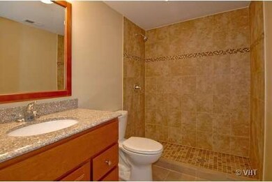 205 Amarillo Dr, Carpentersville, IL 60110 - photo 7