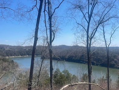 000 Litton Dr, Jamestown, KY 42629 - photo 4