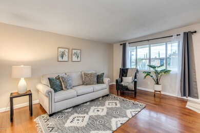 Calle Del Ensayador-14