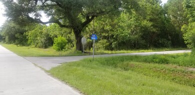 213 Waveland Avenue 4