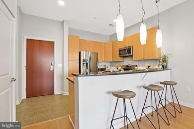 Twelve 09 unit 325, Baltimore, MD 21201 - photo 7