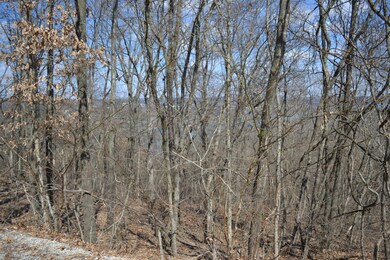 Lot 3 Plateau Ln, Kimberling City, MO 65686 - photo 4