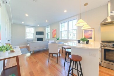 18 Porter St unit 1, Jamaica Plain, MA 02130 - photo 3