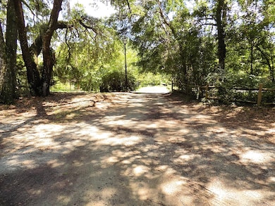 6370 Shilelagh Oaks Pkwy, Ravenel, SC 29470 - photo 6