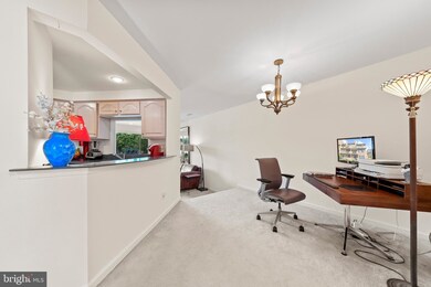 11234 Harbor Ct unit 11234, Reston, VA 20191 - photo 4
