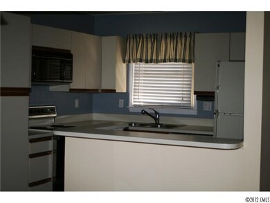 9817 Emerald Point Dr, Charlotte, NC 28278 - photo 5