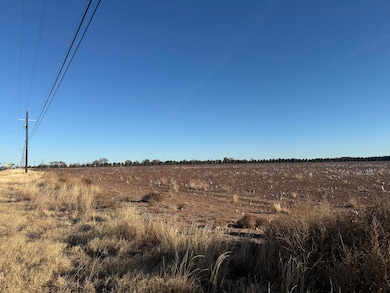 0 Lubbock 79416 unit 202564076, Lubbock, TX 79416 - photo 4