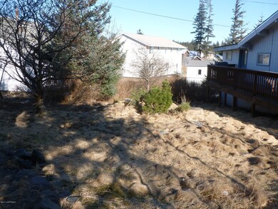 396 Neva Yard area