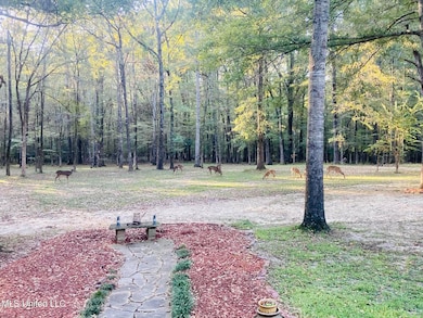 611 S Springlake Cir, Terry, MS 39170 - photo 3