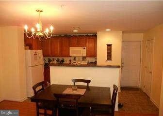 24750 Stone Station Terrace unit 209, Stone Ridge, VA 20105 - photo 4