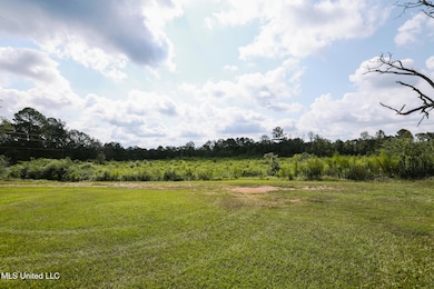 2778 Big Creek Dr SW, Bogue Chitto, MS 39629 - photo 5