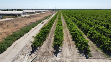 1 S Plumas Ave, Kerman, CA 93630 - photo 5