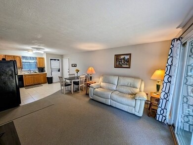 93 Center Depot Rd unit 53, Charlton, MA 01507 - photo 2