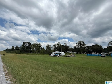 8076 U S Highway 431 unit 1, Alexandria, AL 36250 - photo 2