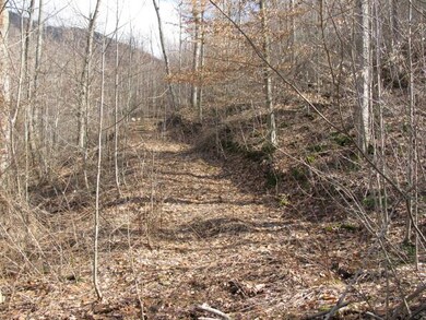 Road to Adventure