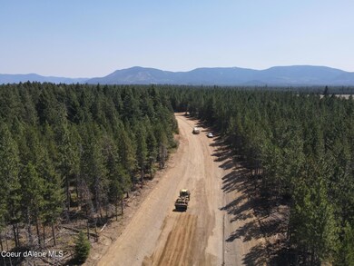 L1 B2 E Duke Ln, Athol, ID 83801 - photo 5