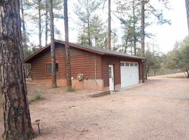 6755 W Ricks Ln, Pine, AZ 85544 - photo 2