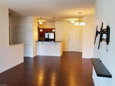 1014 Aqua Marine Blvd unit 52, Avon Lake, OH 44012 - photo 3