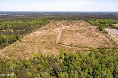 Pb 1/100 U S 117, Burgaw, NC 28425 - photo 4