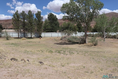 1700 E Riverside Dr, Truth Or Consequences, NM 87901 - photo 2