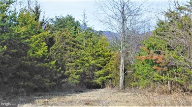 0 Jerome Rd, Mount Jackson, VA 22842 - photo 4