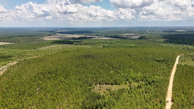 0 Beaver Dam Rd unit 25030820, Cassatt, SC 29032 - photo 5